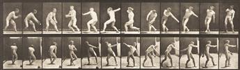 EADWEARD MUYBRIDGE (1830-1904) A selection of 4 plates from Animal Locomotion, comprising two male studies and two female studies of fi